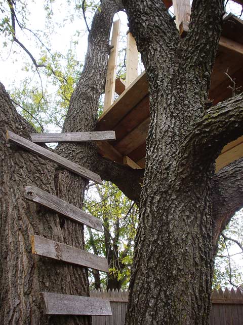 Treehouse Steps